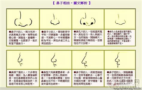 鼻孔面相|面相學之鼻型解析、全面解讀鼻子與命運